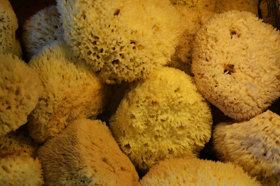 Close-up of eco-friendly cellulose sponges ready for sustainable cleaning